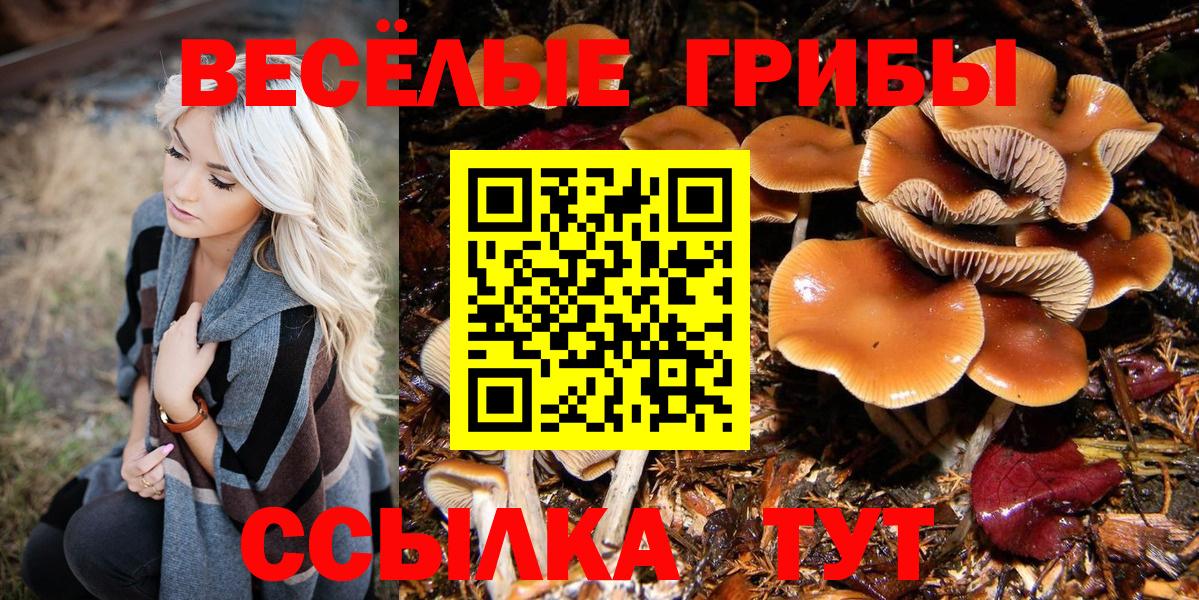 Галлюциногенные грибы Magic Shrooms  купить   Вход с VPN  Великий Новгород  Галлюциногенные грибы мухоморы 